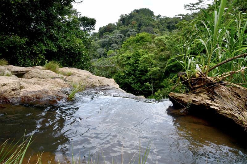 visita-mare-reserva-silvestre-el-cua